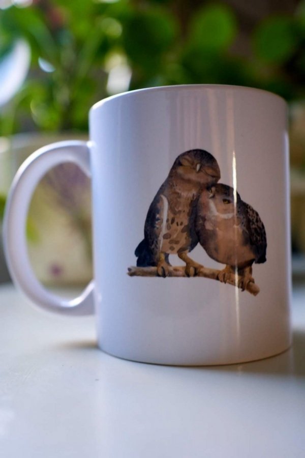 Jelonkowe kubki z Sówkami