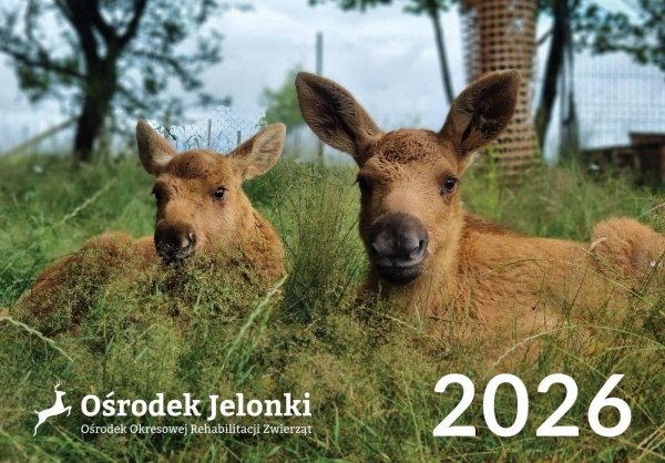 Kalendarz trójdzielny 2026 - #3