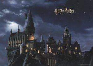 Fototapeta Harry Potter 252x182cm
