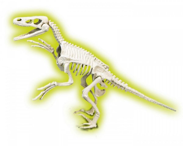 Clementoni Skamieniałości Welociraptor