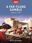 RAID 15 A Far-Flung Gamble