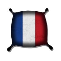 Dice Tray France Tricolor Flag 