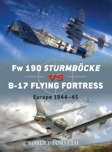 DUEL 024 Fw 190 Sturmböcke vs B-17 Flying Fortress