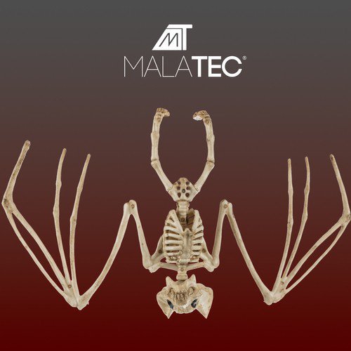 Szkielet nietoperza- dekoracja 30cm Malatec 22005