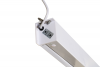 Avtek Business Electric 240
