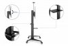 Digitus Stojak mobilny pojedynczy z półką i uchwytem na kamerę, 1xLCD max. 120 cali max. 140kg, VESA max. 1000x600