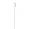 Apple Kabel USB-C TO LIGHTNING (2M)