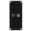 CAYMON CASY132/B CASY 1 space with 2x RCA to 2-pin terminal block Black version