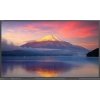 Monitor interaktywny Newline  86 cali TT-8623C