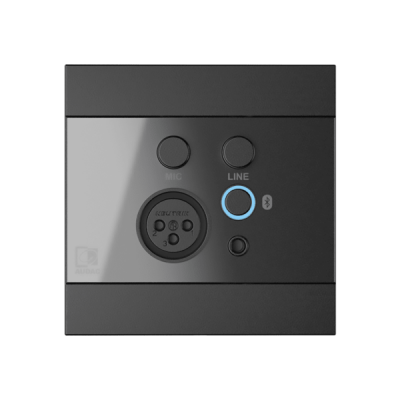 AUDAC WP 225/ B - Panel naścienny kolor czarny