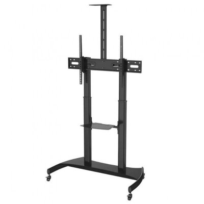 Stojak podłogowy PLASMA-M1950EBLACK Neomounts 60 cali-100 cali 100kg