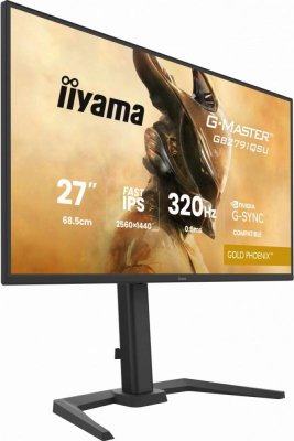 IIYAMA Monitor 25 cali GB2791QSU-B1 0.6ms,DP,2xHDMI 2.1 ,320Hz, Fast IPS,  WQHD,350 cd/m2, USB HUB x4 (2x Type-A, 2x Type-C), G-SYNC compatible - HDMI: 2
