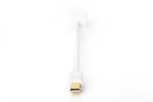 Digitus Kabel adapter Displayport 1080p 60Hz FHD Typ miniDP/HDMI A M/Ż biały 0,15m