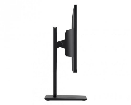 MSI Monitor PRO MP251P   24.5 cala/LED/FHD/Flat/100Hz/Czarny