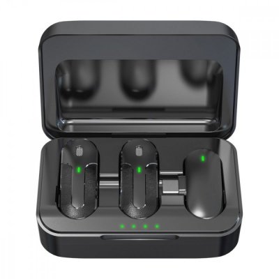 Technaxx Deutschland GmbH & Co. KG Bezprzewodowy mikrofon 2 sztuki TX-301