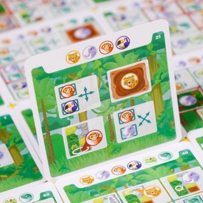 Muduko Gra Dżungla. 60 Zagadek