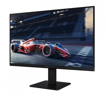 Samsung Monitor komputerowy 24 cale LS24D304GAUXEN