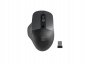 Natec Mysz bezprzewodowa Blackbird 2 1600 DPI z cichym klikiem Czarna 