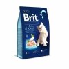 mag. Suwak: Brit Premium by Nature Kitten Chicken 1,5kg Sucha karma z Kurczakiem dla kociąt