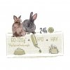 mag Suwak: Witte Molen PUUR 3kg Rabbit Sensitive muesli dla wrażliwych królików