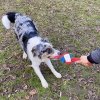 duvo+ Smerfy Piłka z dwoma sznurowymi pętlami 42cm Zabawka dla psa