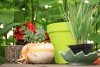 Blumentopf Pflanztopf Massiv classic 35 terrakotta