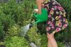 Gießkanne Gartengießkanne Blumengießkanne Kunststoff mit Gießbrause Grün 3L
