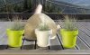 Blumentopf Blumenkübel Pflanzkübel Lofly 160mm weiß mit Untersetzer
