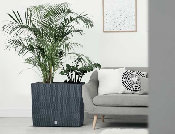 Blumenkasten Geländerkasten Blumentopf Rattan - 58cm mit Ablauf Anthrazit