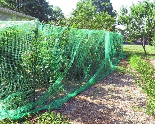 Teichnetz Vogelschutznetz Laubnetz Gartennetz Pflanzenschutznetz 6x5m