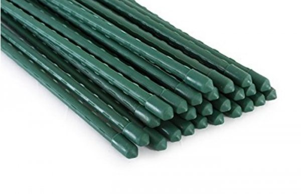 Pflanzstab Rankhilfe Pflanzenstütze Pflanzstäbe 150cm 30 Stk
