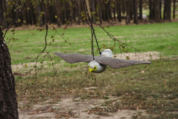 6x Taubenschreck Vogelscheuche Taubenabwehr Vogelabwehr - fliegender Falke