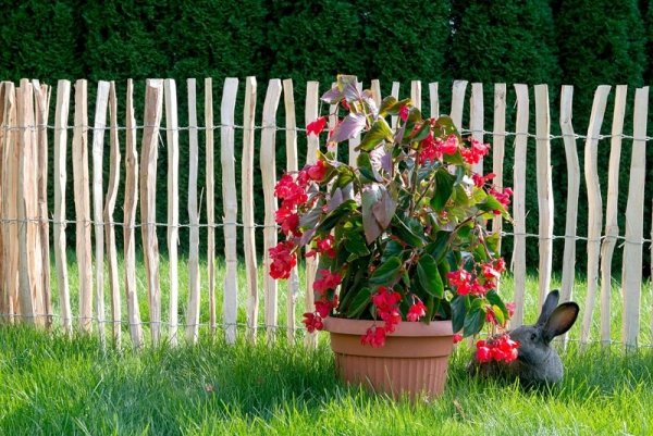 Staketenzaun Holzzaun Haselnussholz imprägniert - 0.5m x 5m, Lattenabstand 3-4cm