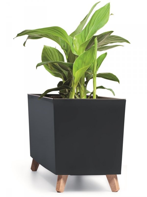 Blumenkasten Blumenkübel mit Füßen Pflanzkübel Case N Übertopf 77cm - Weiß