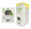 Pulpa puree przecier 100% z czarnych porzeczek 3x1kg