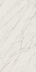 Paradyż Elite White Mat 59,8x119,8