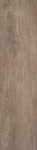 Paradyż Willow Beige 2.0 29,5x119,5