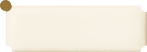 Tubądzin Maciej Zień Sophisticated Brick white dekor 23,7x7,8