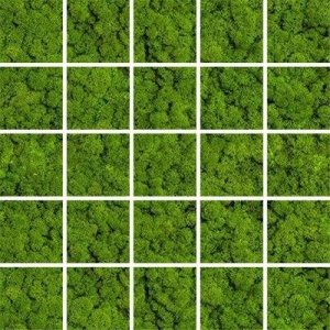 Ceramika Końskie Green Moss Mosaic 24,8x24,8