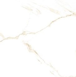 Carrara Gold Poler 60X60