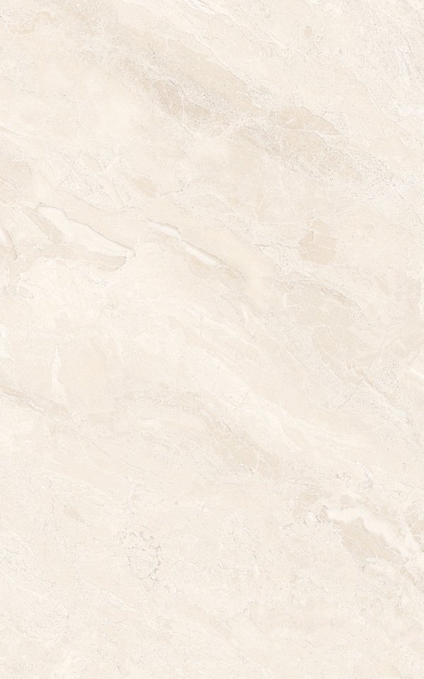 ATEM Amelia BC 25x40