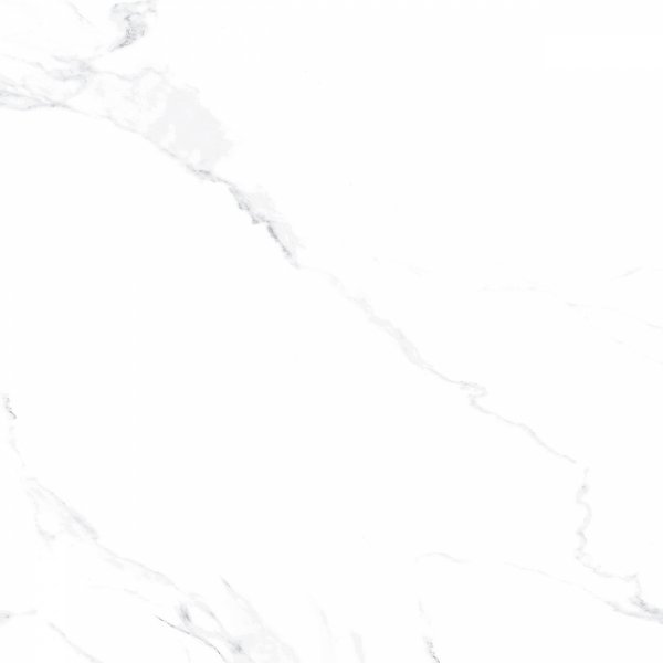Carrara Blanco Poler 120x120