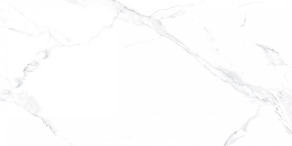 Carrara Blanco Poler 60X120