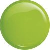    Victoria Vynn Salon Gel Polish COLOR kolor: No 332 Insane Green