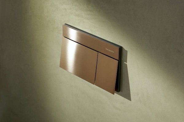 Hansgrohe iFrame Element E Przycisk WC brąz szczotkowany 66003140 