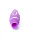 Wibrator-KELLY Purple- 12 vibration functions / 8 stimulation functions USB
