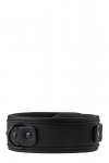 BLAZE COLLAR AND LEASH BLACK