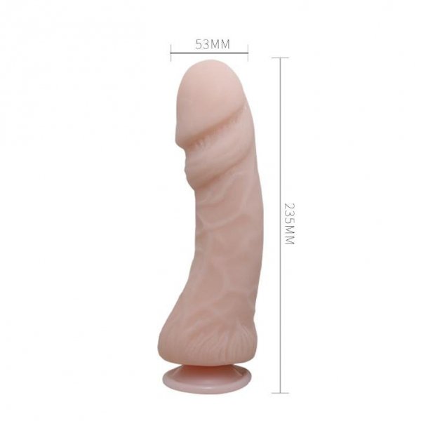 BAILE - The Big Penis, Vibration, Suction base
