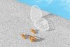BESTWAY 26032 Zatyczki do nosa i stopery do uszu basen morze do nurkowania