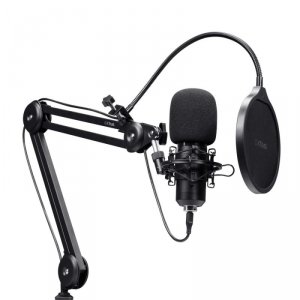 Mikrofon z regulowanym ramieniem  GXT 270 EMITA II+